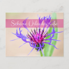 Bezaubernde Urlaubsgrüße aus dem Briefkasten Vykort