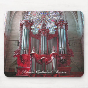 Beziers katedral - Fantasin flyger Musmatta
