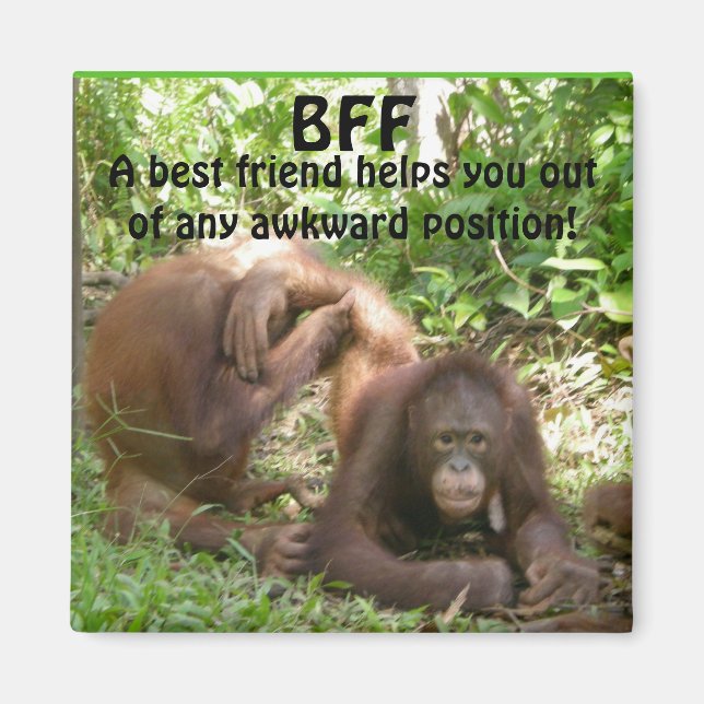 BFF Bästa vänner för alltid Magnet (Framsidan)