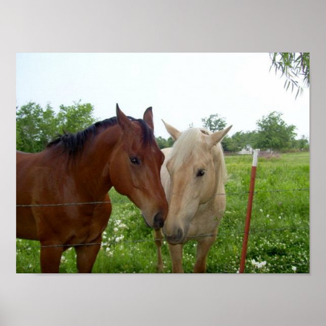 BFF Bästa vänner för alltid Poster (Framsidan)