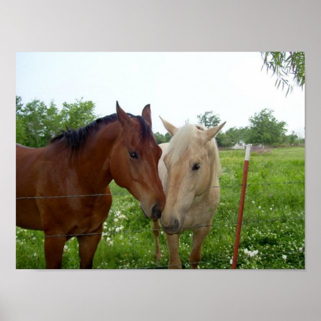 BFF Bästa vänner för alltid Poster (Framsidan)