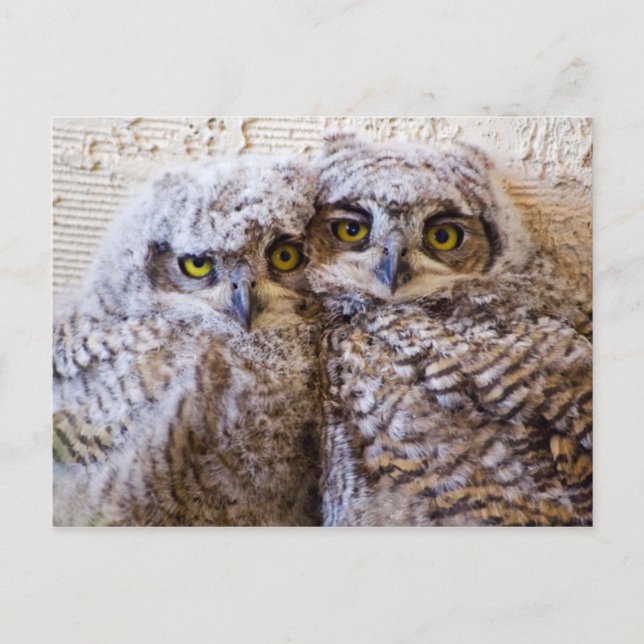 BFF - Bästa vänner för alltid Vykort (Framsida)