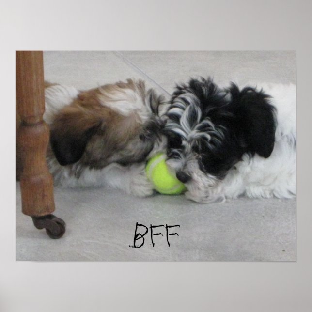 BFF Bästa vänner Puppy Poster (Framsidan)