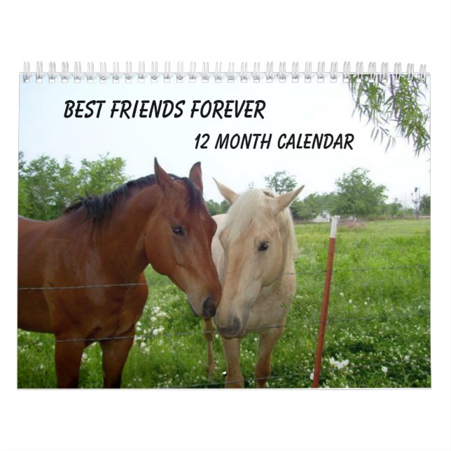BFF-Best Friends For-ver - 12 månaders kalender (Omslag)