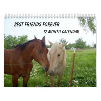 BFF-Best Friends For-ver - 12 månaders kalender