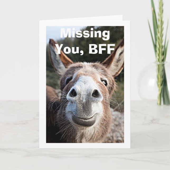 *BFF** FATTIGA DONKEY MISSER MYCKET LYCKLIG OM DET KORT (Framsida)