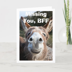 *BFF** FATTIGA DONKEY MISSER MYCKET LYCKLIG OM DET KORT