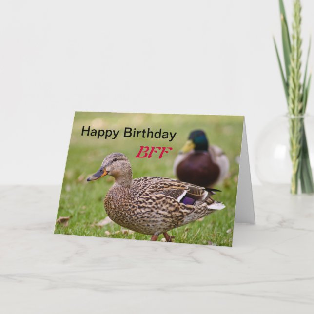 BFF-kort för ankor Grattis på födelsedagen Kort (Framsida)