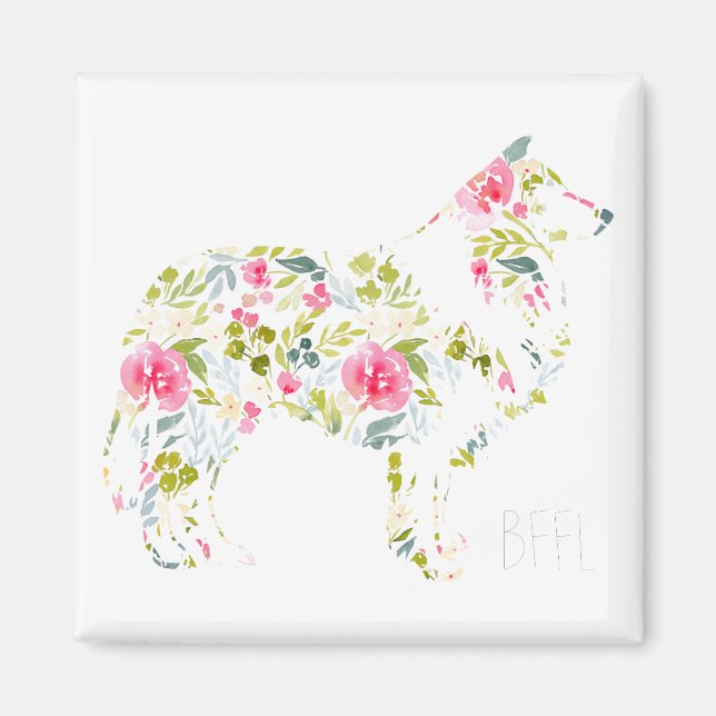 BFFL Collie Magnet (Framsidan)