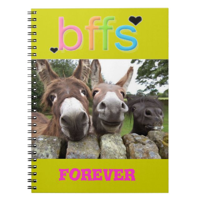 BFFS le åsnaanteckningsbok Anteckningsbok (Framsidan)