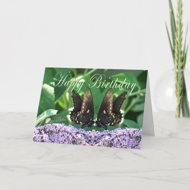 BflyKissesHBDcard Kort (Framsida)