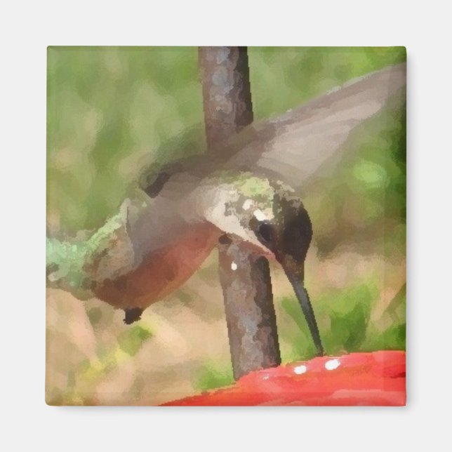 BG-Hummingbird Magnet (Framsidan)