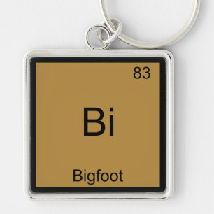 Bi - Bigfoot Funny Chemistry Inslag Symbol Tee Fyrkantig Silverfärgad Nyckelring