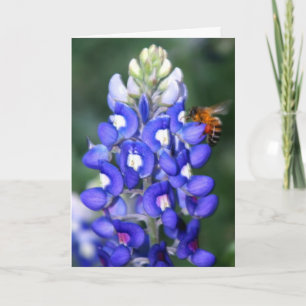 Bi & Bluebonnet Kort