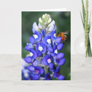 Bi & Bluebonnet Kort