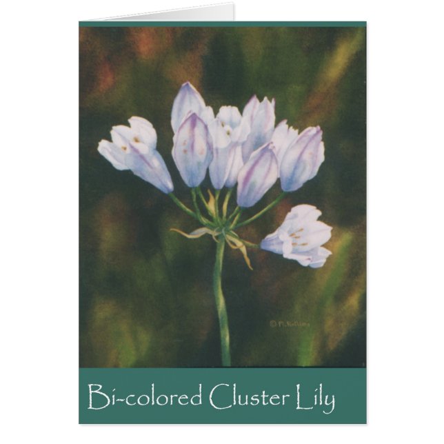Bi-färgad Cluster Lily Hälsningskort (Framsidan)