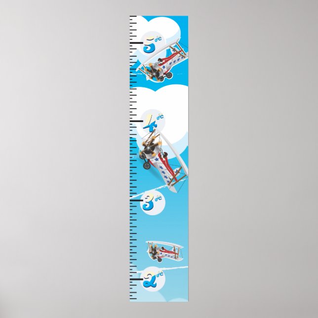 Bi-flygplan tillväxtdiagram poster (Framsidan)