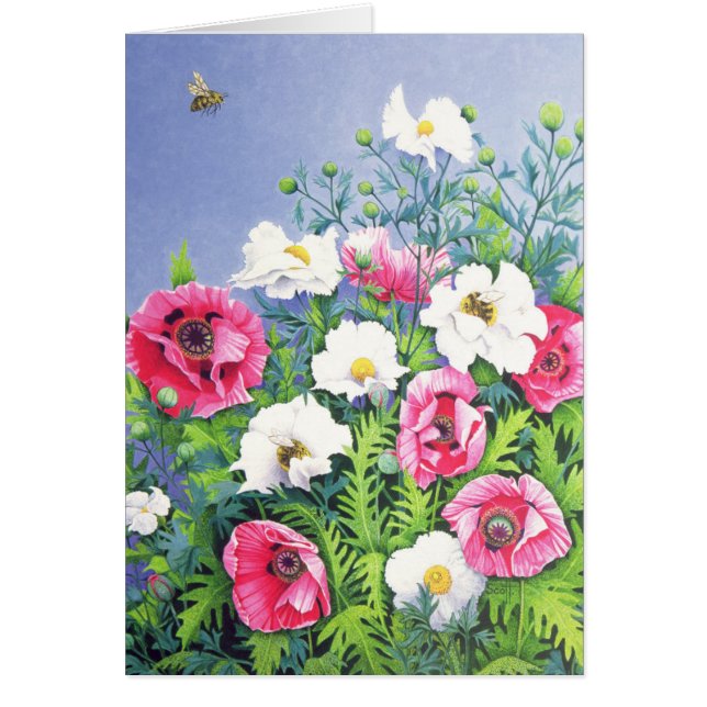 Bi för honungbihonung hälsningskort (Framsidan)