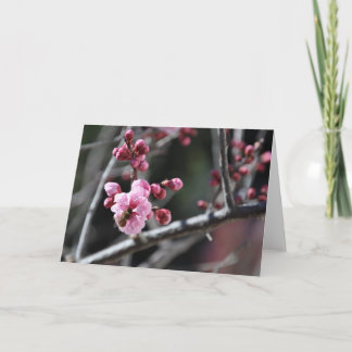 Bi i blomman - hälsningkort kort