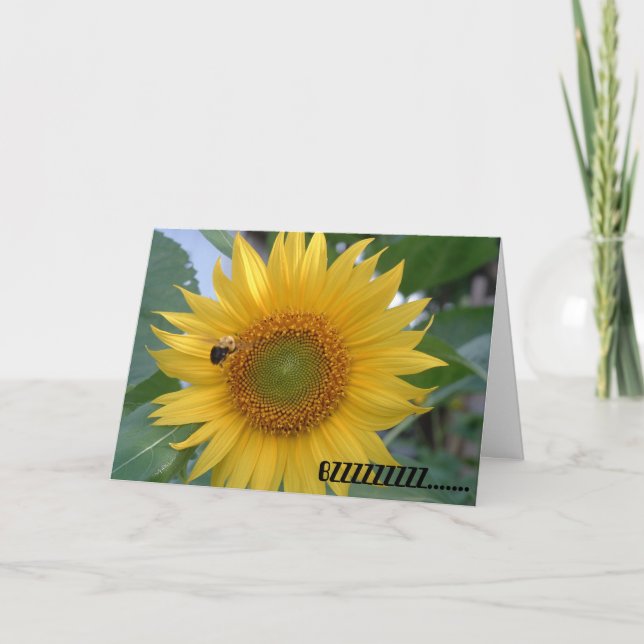 Bi i flyg kort (Framsida)