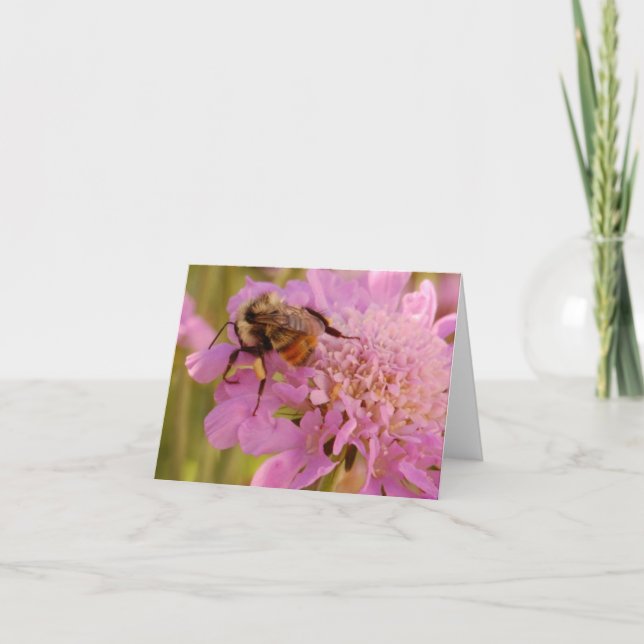 Bi på blomma kort (Framsida)