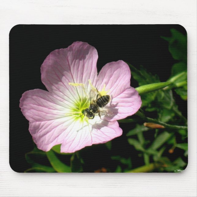 Bi på blomma musmatta (Framsidan)