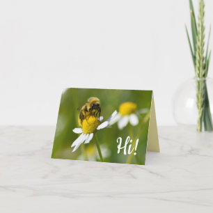 Bi på den höga Camomileblomman! Det tomma fotoet Kort