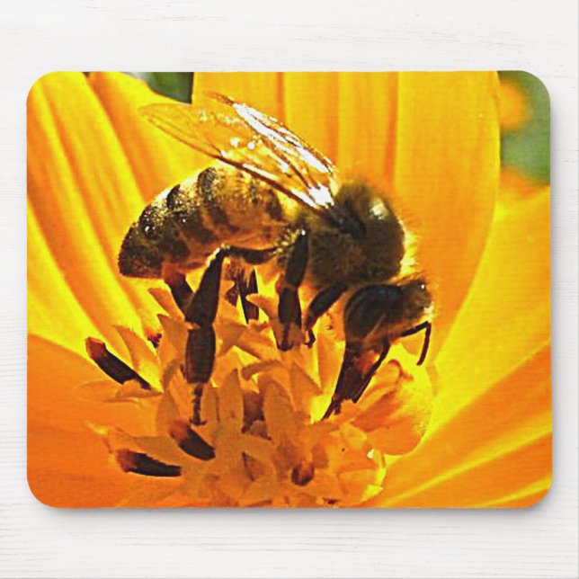 Bi på en blomma musmatta (Framsidan)