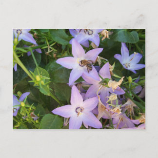 Bi på en blomma vykort