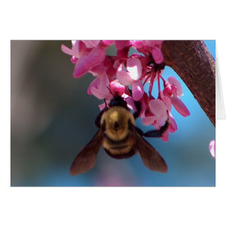 Bi på en blommar hälsningskort