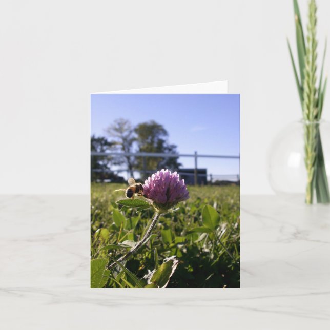 Bi på klöver Notecard Kort (Framsida)