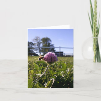 Bi på klöver Notecard Kort