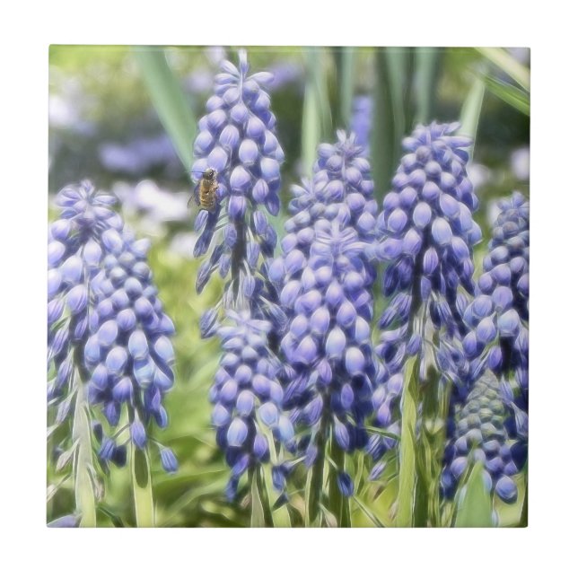 Bi på Muscariblommor Kakelplatta (Framsidan)