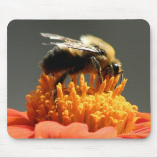Bi på orange blomma musmatta