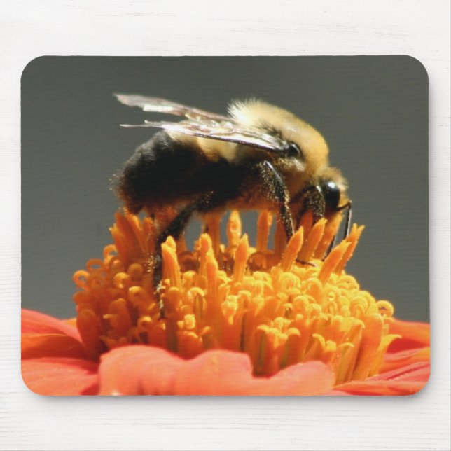 Bi på orange blomma musmatta (Framsidan)