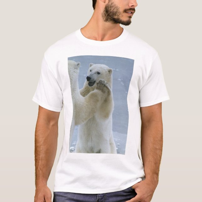 Bi-Polar klubb Tee Shirt (Framsida)