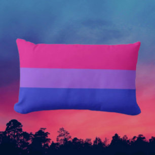 Bi Pride Ländryggsstöd Lumbarkudde