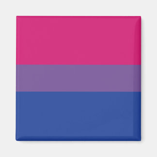 Bi-Pride magnet