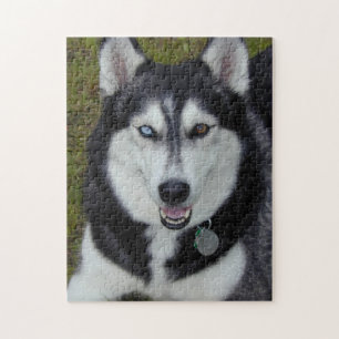 Bi-Synad Siberian Huskie Pussel