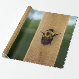 Bi-zilla Presentpapper