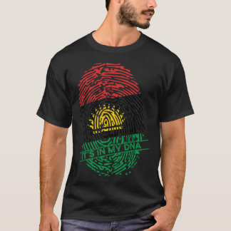 Biafran Flagga Biafra in my DNA Pullover Hoodie T Shirt
