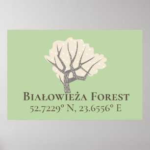 Białowieża Forest Latitude & Longitud Poster