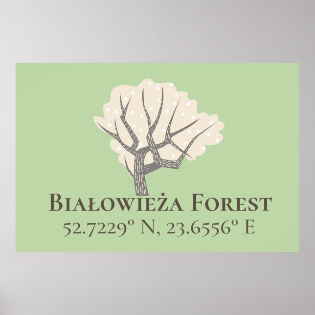 Białowieża Forest Latitude & Longitud Poster (Framsidan)