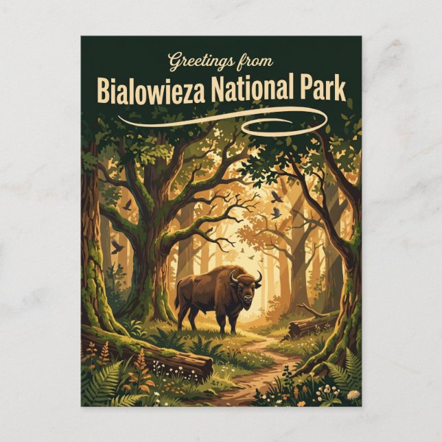 Białowieża nationalpark Polen Vykort (Framsida)