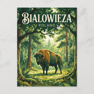 Białowieżanationalparken Polen Vykort