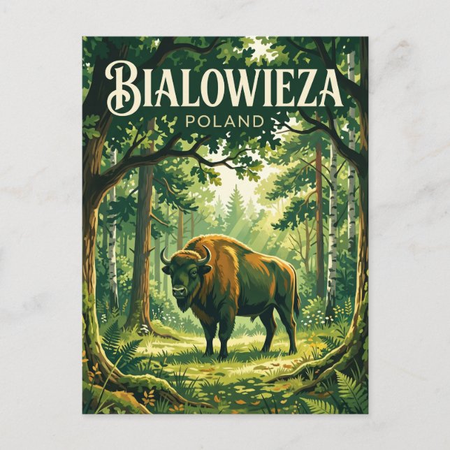 Białowieżanationalparken Polen Vykort (Framsida)