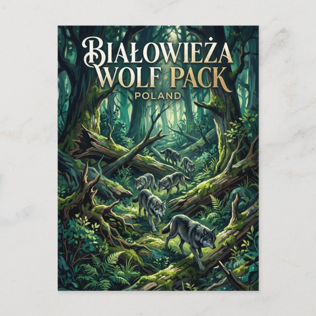 Białowieżaskogen Polen Vykort (Framsida)