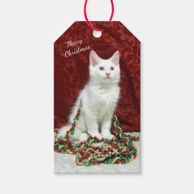 Bianca's Maine Coon jul Cat Gift Märkre Presentetikett (Framsidan)