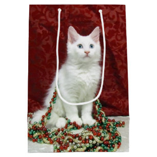Bianca's Maine Coon jul - Katt