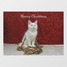 Bianca's Maine Coon Jul - Katt / Kitten